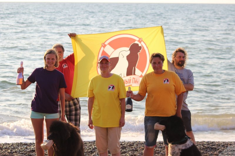 Фотография № 247672