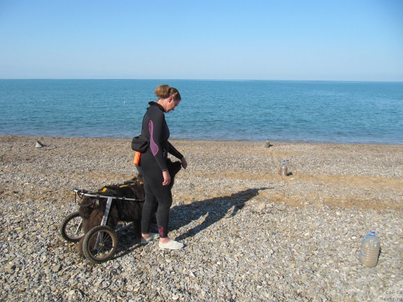 Фотография № 247675