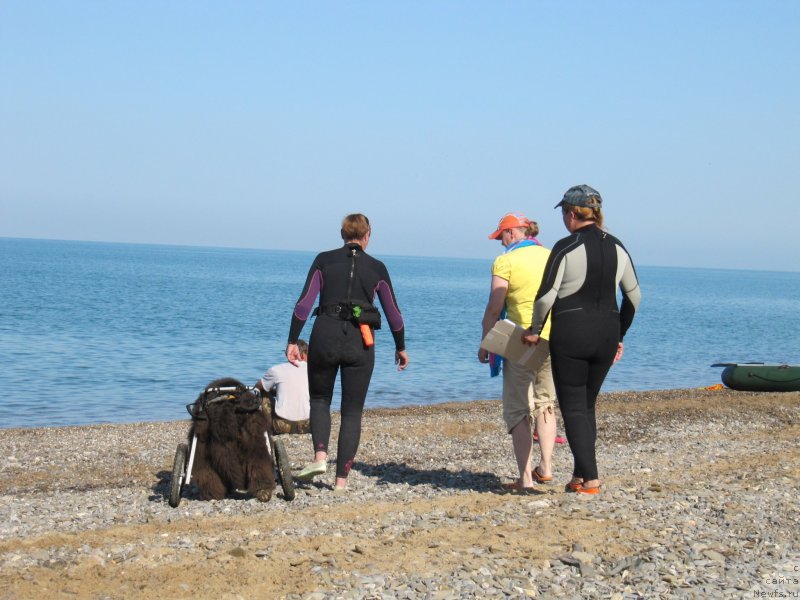 Фотография № 247677