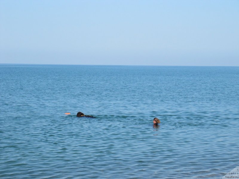 Фотография № 247681