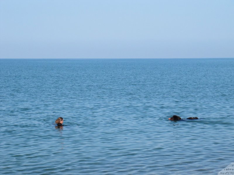 Фотография № 247683