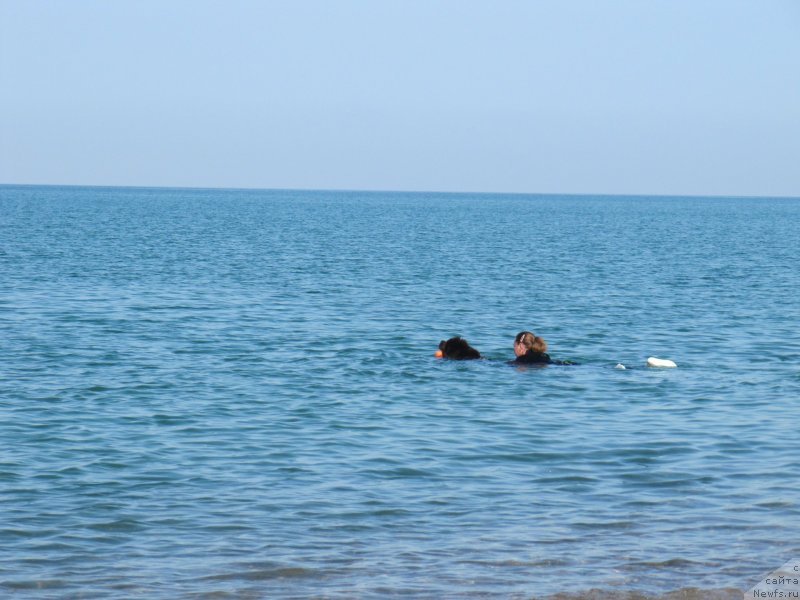 Фотография № 247685