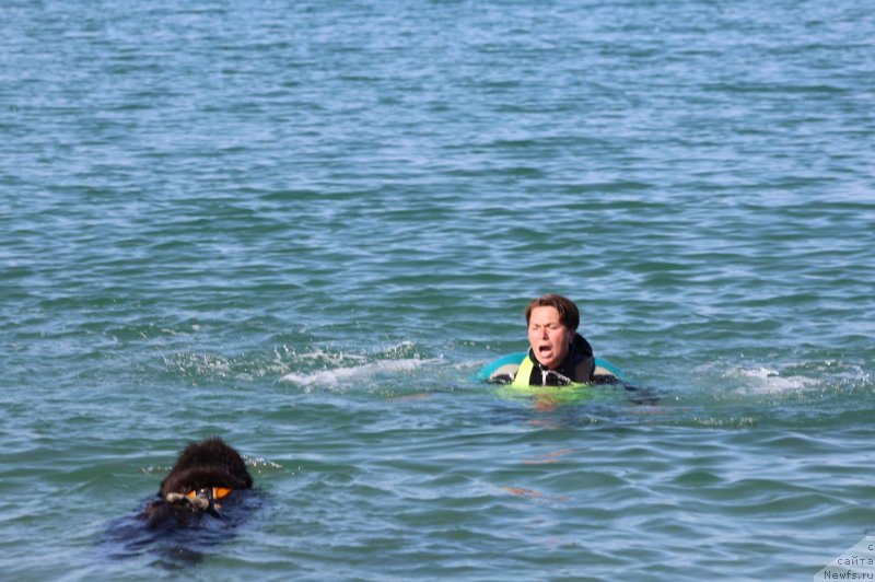 Фотография № 247687