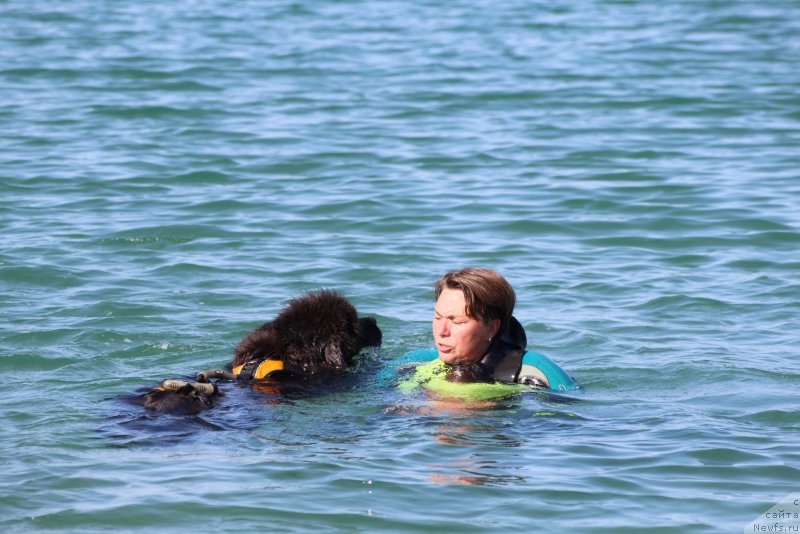 Фотография № 247688