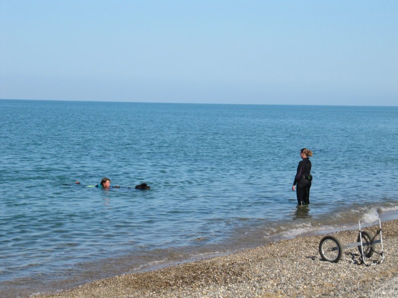 Фотография № 247693