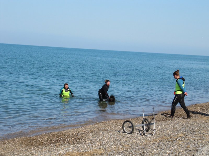 Фотография № 247694