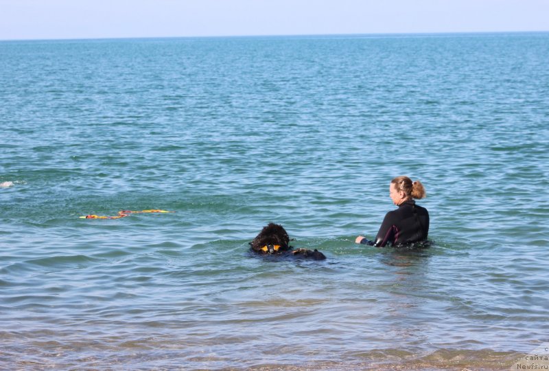 Фотография № 247695