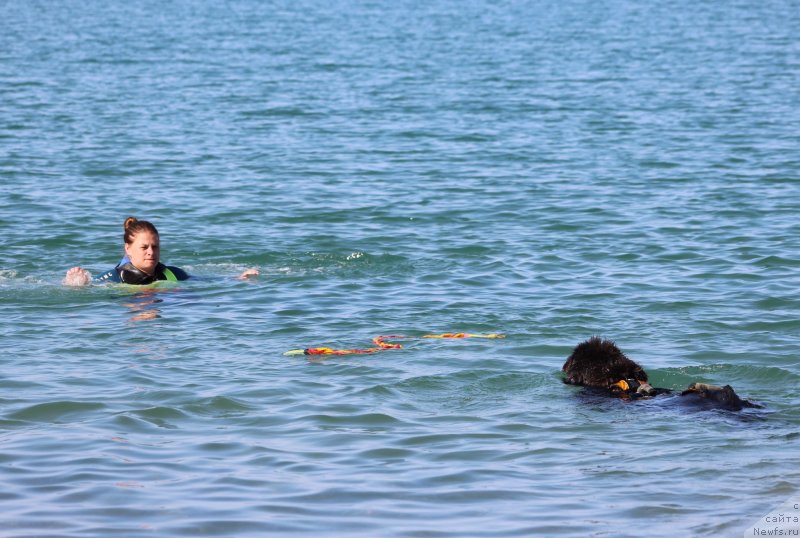 Фотография № 247697