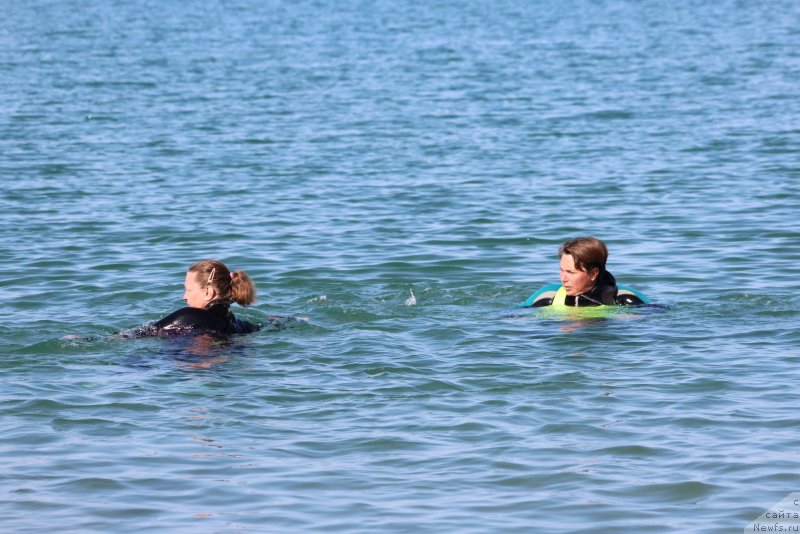 Фото: Анна Петрушкина