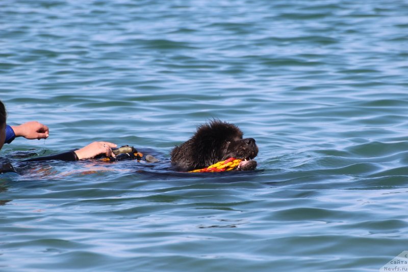 Фотография № 247704