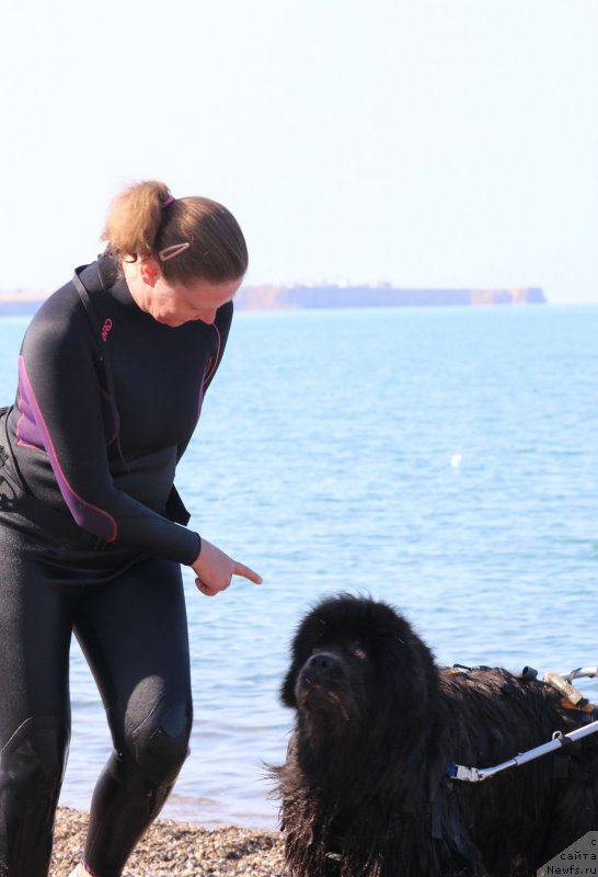 Фотография № 247708