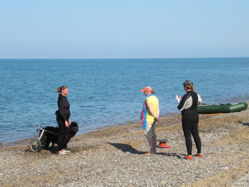 Фотография № 247709