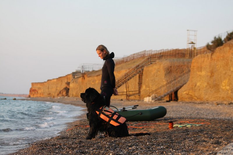 Фотография № 247712