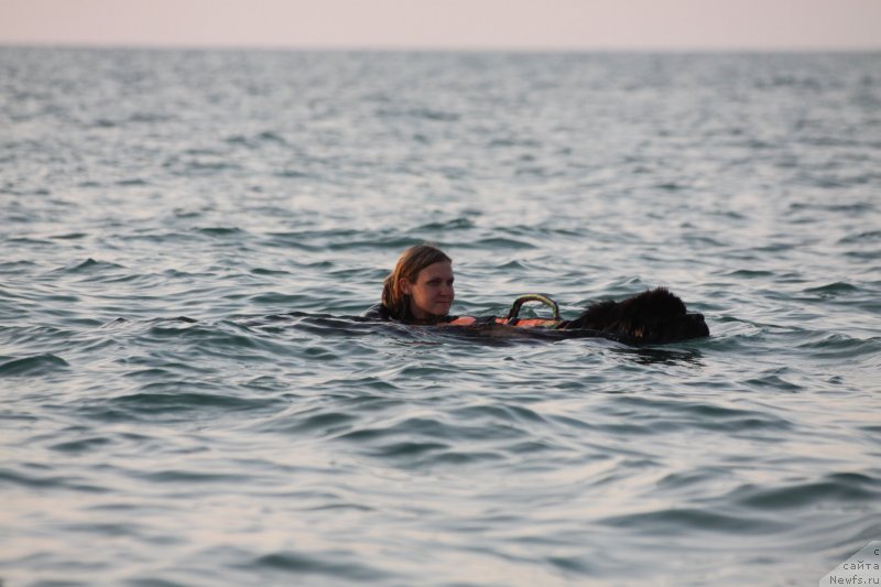 Фотография № 247716