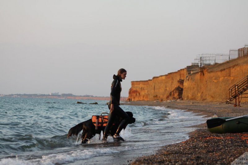 Фотография № 247718