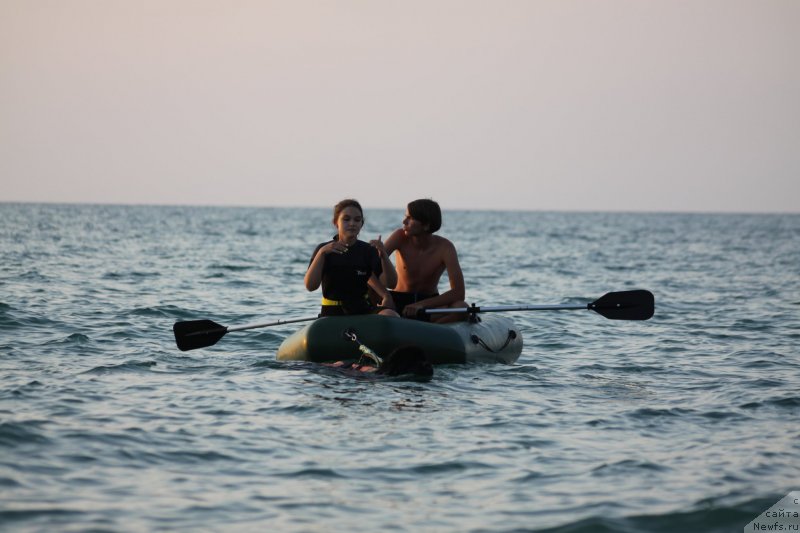 Фото: ньюфаундленд Риччи с Берега Дона (Richchi s Berega Dona)