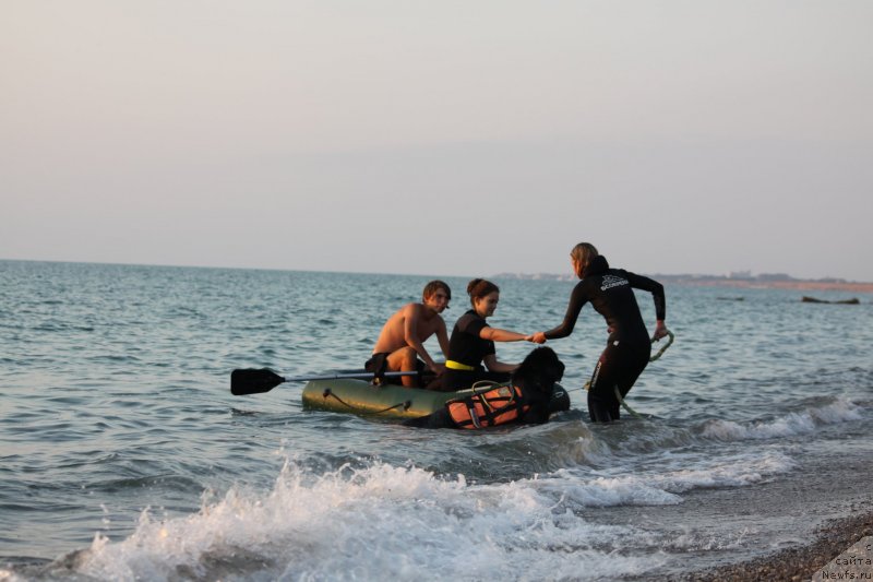 Фотография № 247723