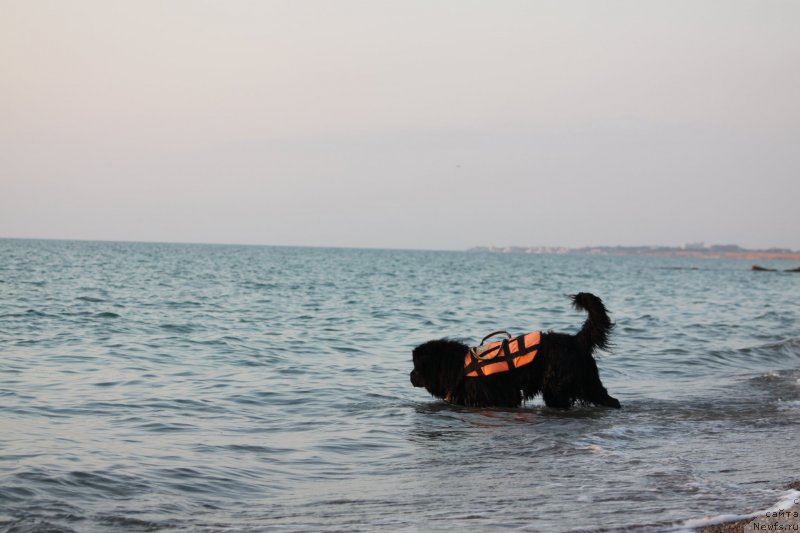 Фотография № 247725