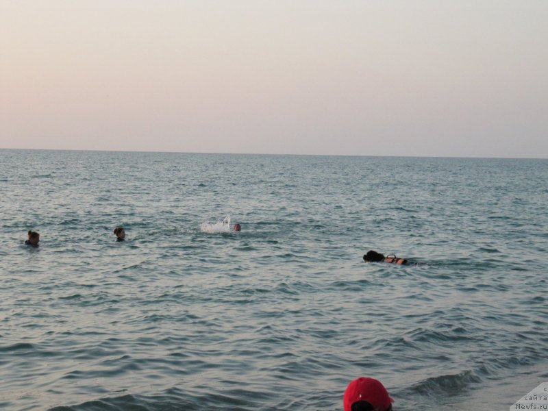 Фотография № 247726