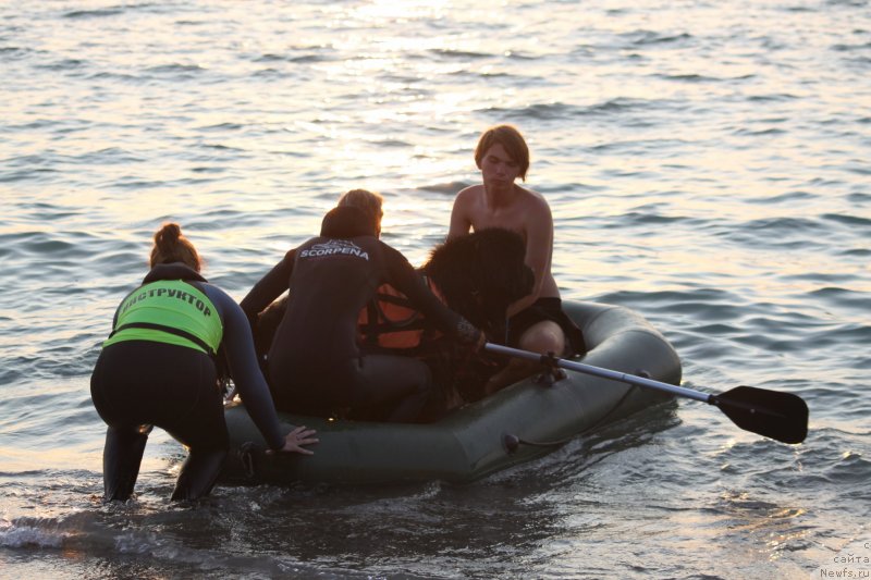 Фото: ньюфаундленд Риччи с Берега Дона (Richchi s Berega Dona), Анастасия Киреева