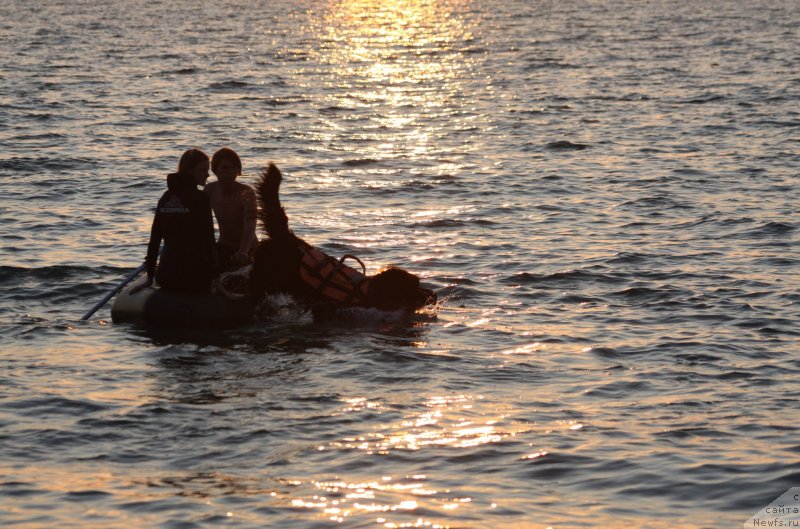 Фотография № 247730