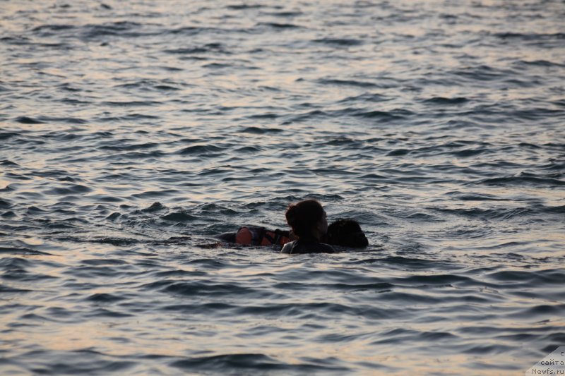 Фотография № 247731