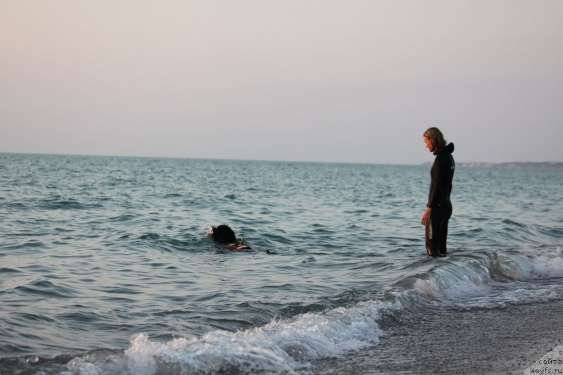 Фотография № 247734