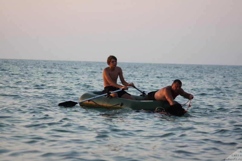 Фото: ньюфаундленд Риччи с Берега Дона (Richchi s Berega Dona)