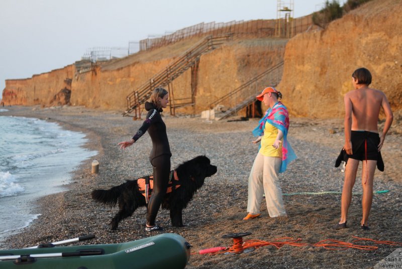 Фотография № 247737