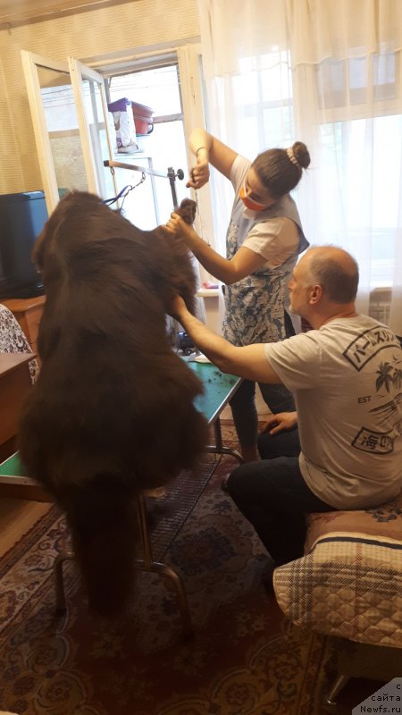 Фотография № 247771