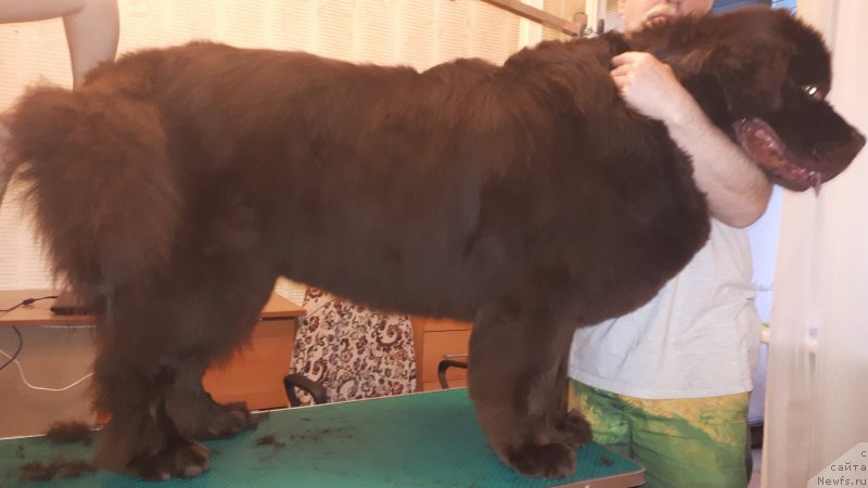 Фотография № 247772