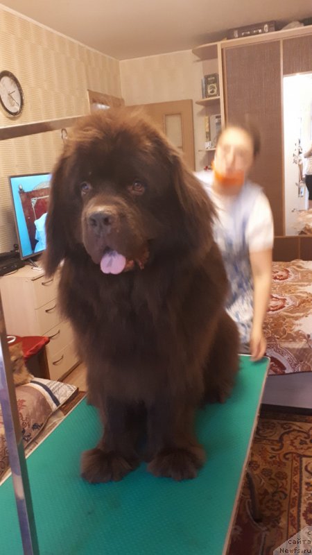 Фотография № 247773