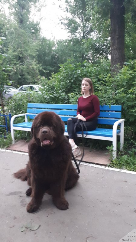 Фотография № 247775