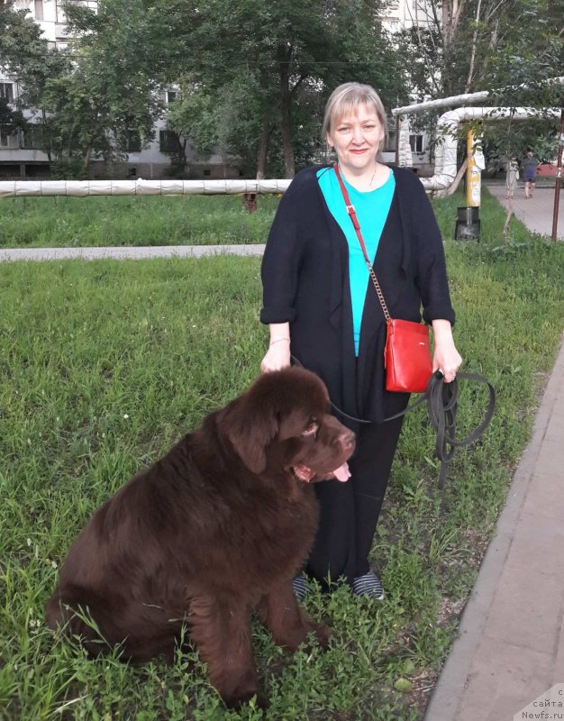 Фотография № 247778