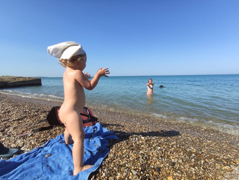 Фотография № 247784