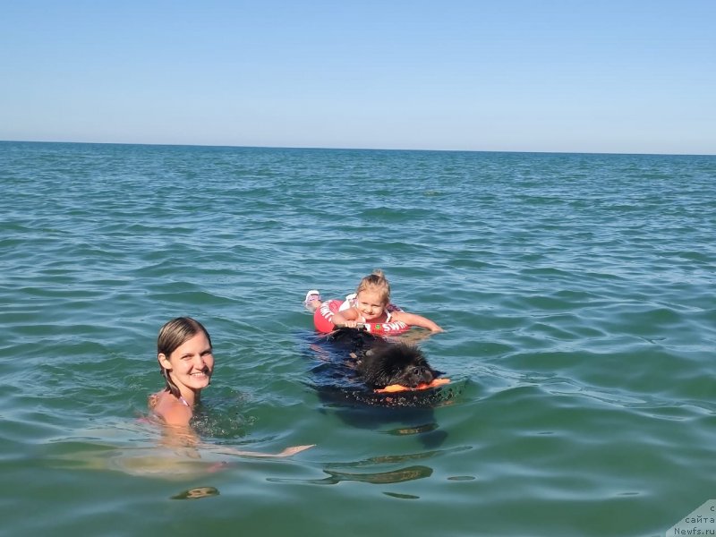 Фотография № 247794