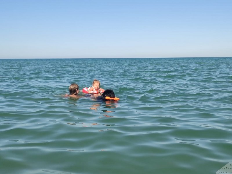 Фотография № 247796