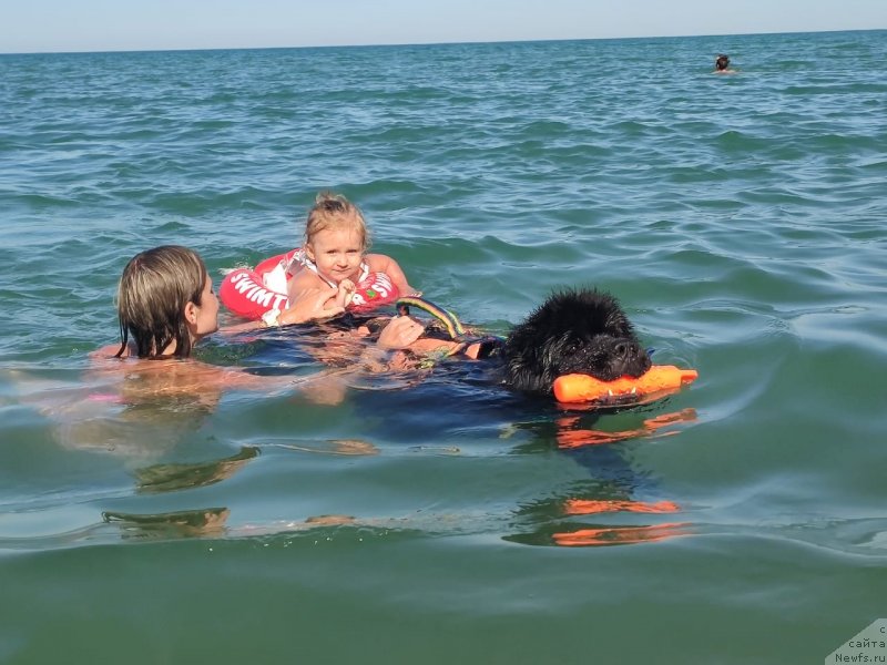 Фотография № 247797