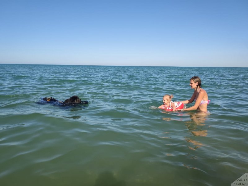 Фотография № 247798