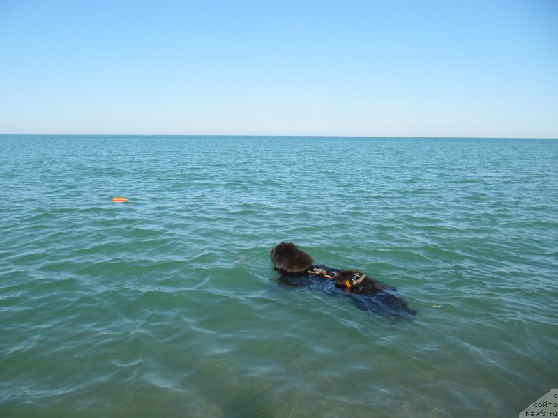 Фотография № 247801