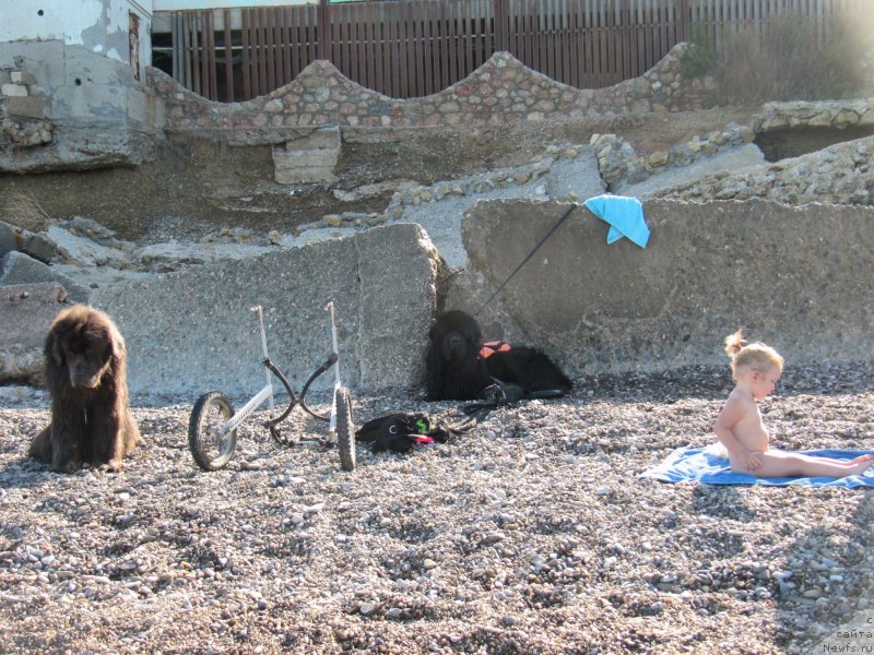 Фотография № 247805