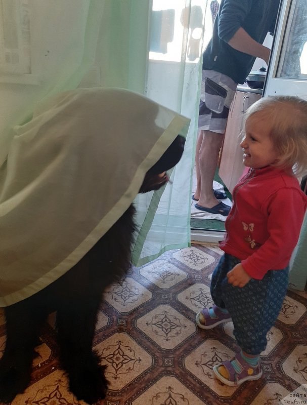 Фотография № 247811