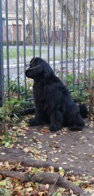 Фотография № 247812