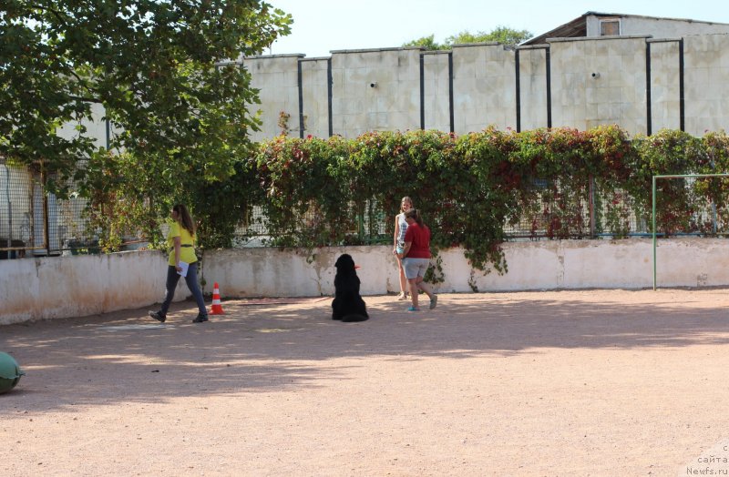 Фотография № 247829