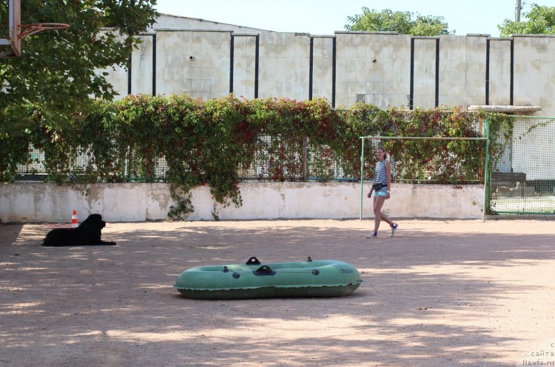 Фотография № 247833