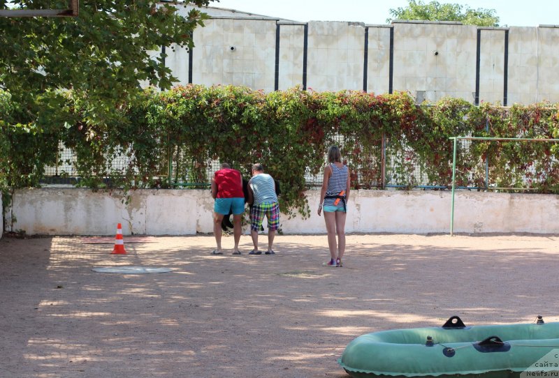 Фотография № 247834