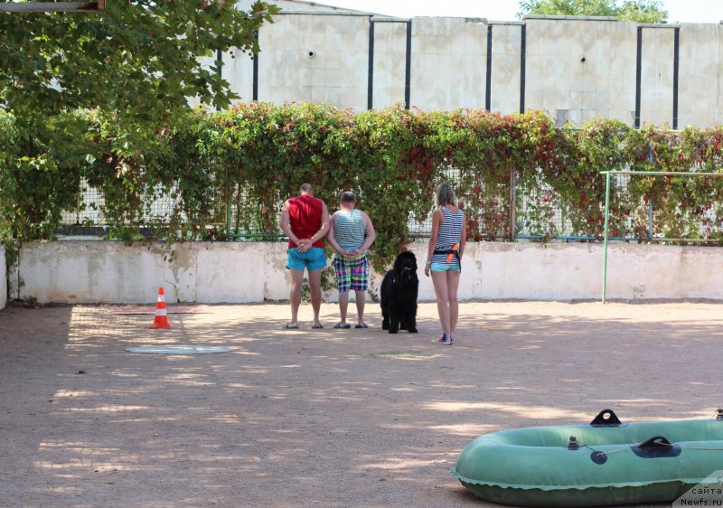 Фотография № 247835