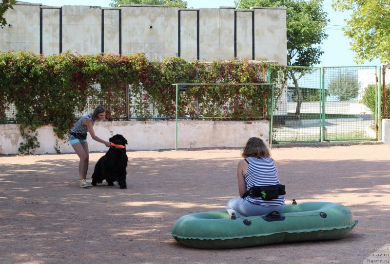 Фотография № 247836