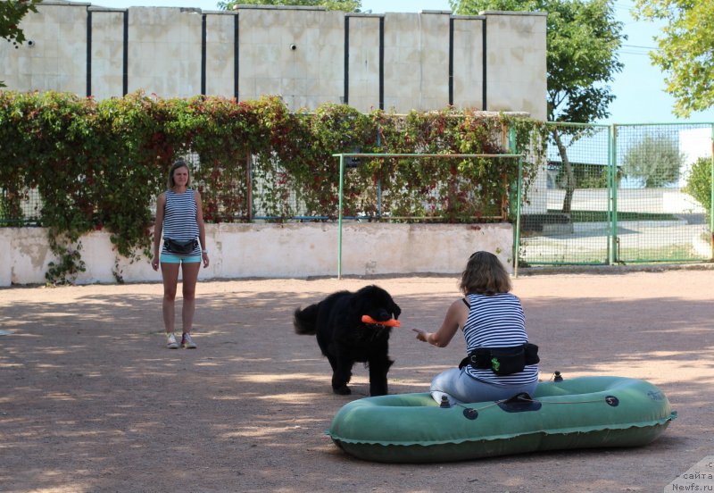 Фотография № 247837