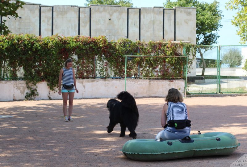 Фотография № 247838